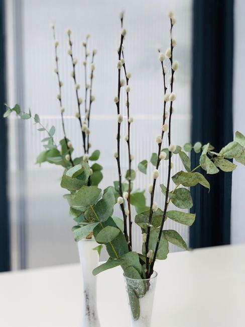 A clear glass vase containing a floral arrangement of tall, slender pussy willow branches with soft, white catkins, complemented by sprigs of eucalyptus with round, green leaves. The arrangement is se
