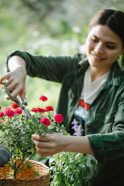 A young woman with dark hair, wearing a green jacket over a white shirt with a red and blue design, is smiling while arranging bright pink carnations in a wicker basket outdoors. She is using garden s
